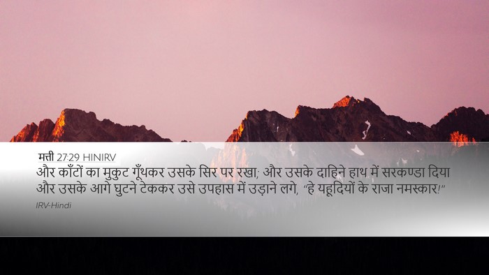 मत्ती 27:29 HINIRV Bible Verse Image