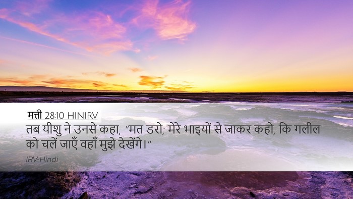 मत्ती 28:10 HINIRV Bible Verse Image