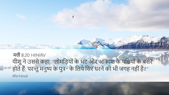 मत्ती 8:20 HINIRV Bible Verse Image
