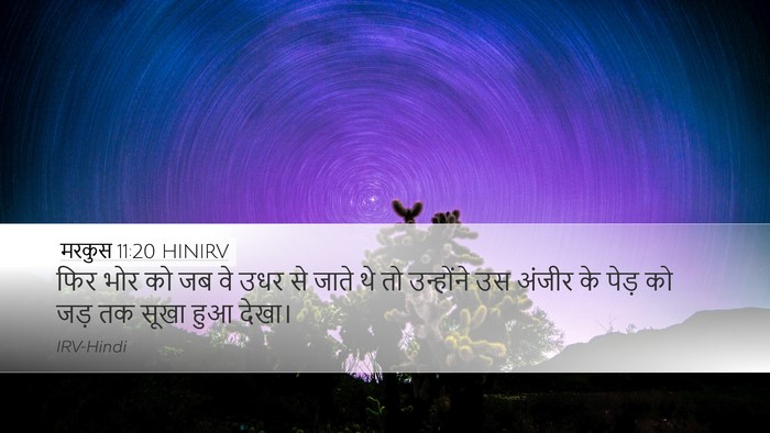 मरकुस 11:20 HINIRV Bible Verse Image