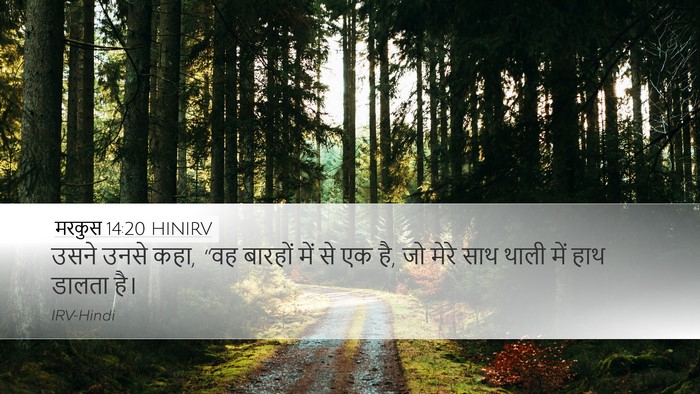मरकुस 14:20 HINIRV Bible Verse Image
