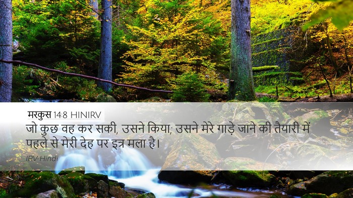 मरकुस 14:8 HINIRV Bible Verse Image