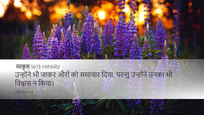 मरकुस 16:13 HINIRV Desktop Wallpaper - उन्होंने भी जाकर - Desktop Bible Verse Wallpaper