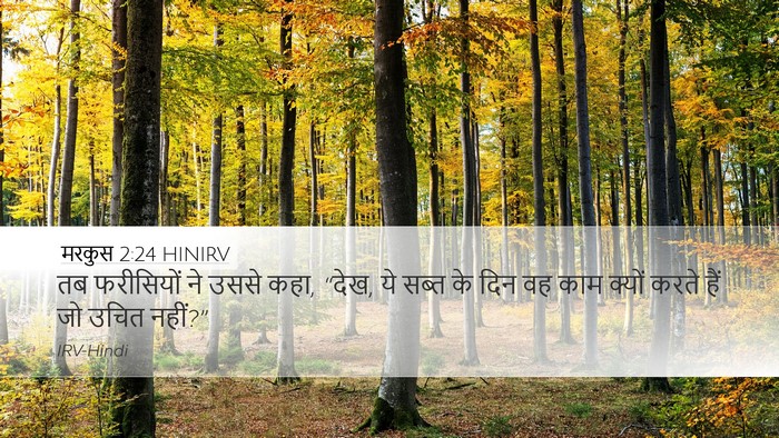मरकुस 2:24 HINIRV Bible Verse Image
