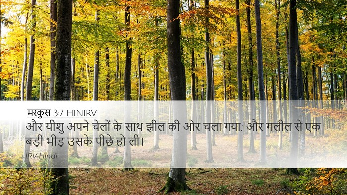 मरकुस 3:7 HINIRV Bible Verse Image