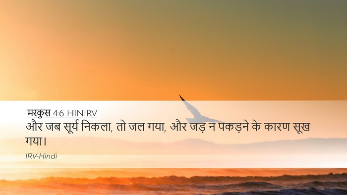 मरकुस 4:6 HINIRV Bible Verse Image