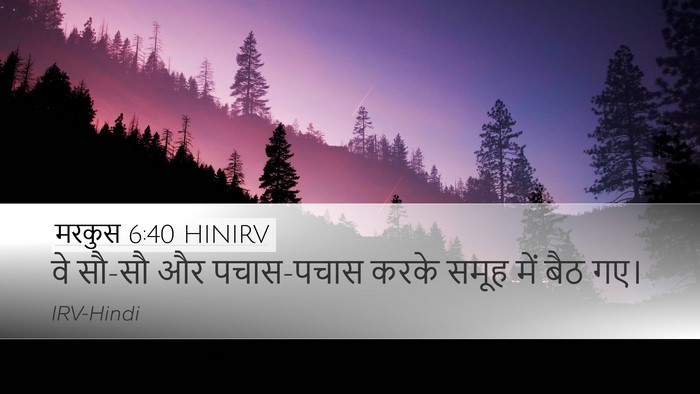 मरकुस 6:40 HINIRV Desktop Wallpaper - वे सौ-सौ और - Desktop Bible Verse Wallpaper