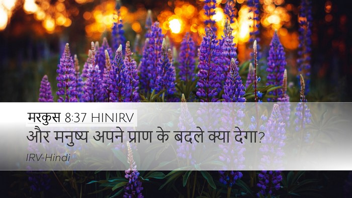 मरकुस 8:37 HINIRV Desktop Wallpaper - और मनुष्य अपने - Desktop Bible Verse Wallpaper