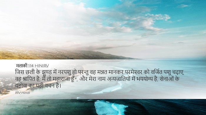मलाकी 1:14 HINIRV Bible Verse Image