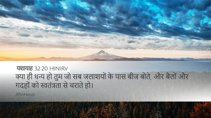 यशायाह 32:20 HINIRV Bible Verse Image
