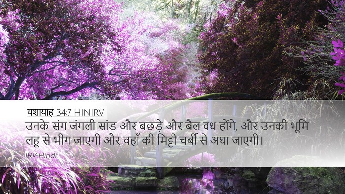 यशायाह 34:7 HINIRV Bible Verse Image