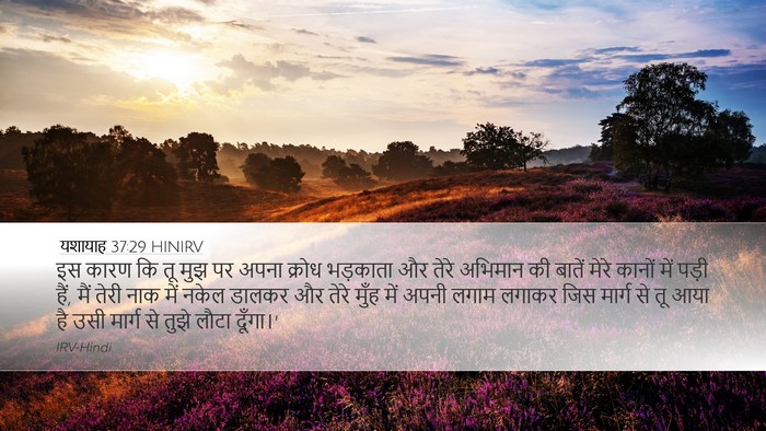 यशायाह 37:29 HINIRV Bible Verse Image