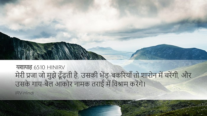 यशायाह 65:10 HINIRV Bible Verse Image