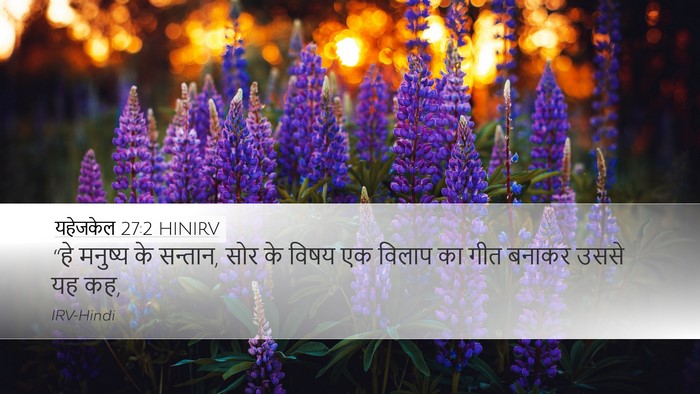 यहेजकेल 27:2 HINIRV Bible Verse Image