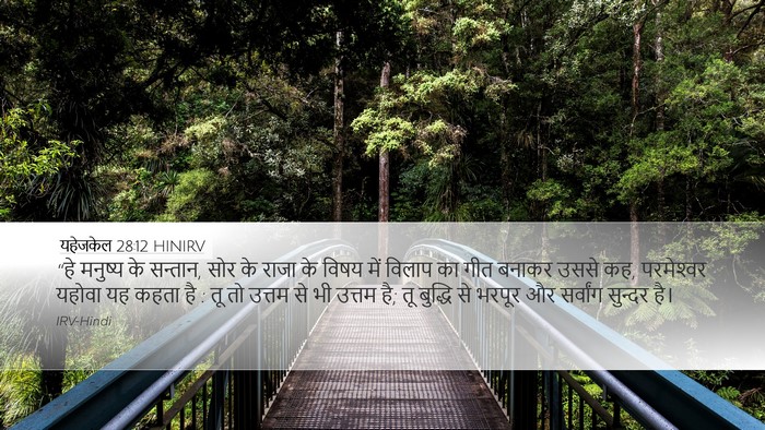 यहेजकेल 28:12 HINIRV Bible Verse Image