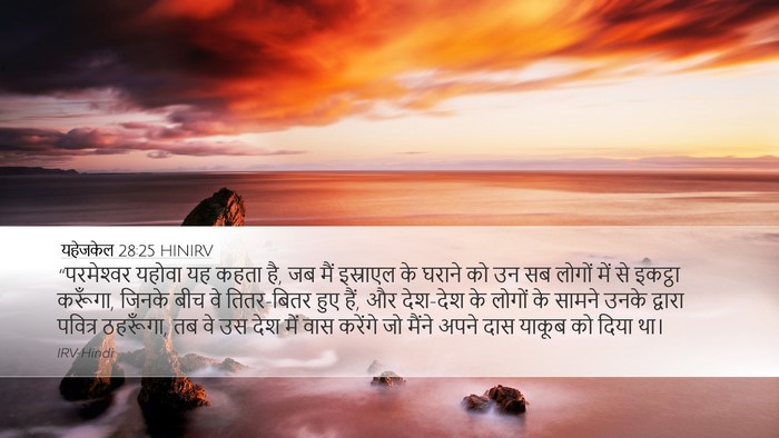 यहेजकेल 28:25 HINIRV Bible Verse Image