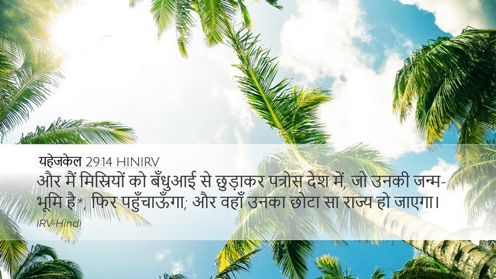 यहेजकेल 29:14 HINIRV Bible Verse Image