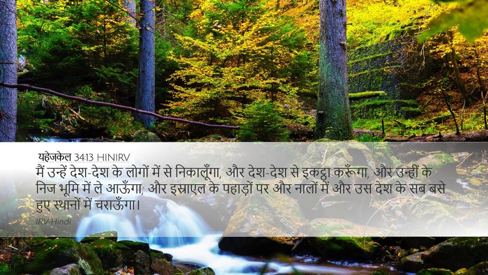 यहेजकेल 34:13 HINIRV Bible Verse Image