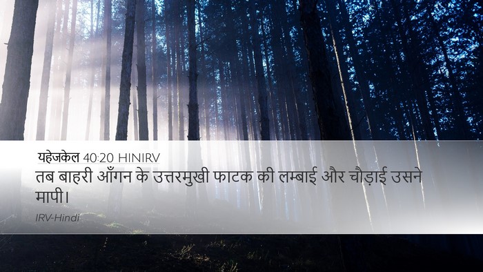 यहेजकेल 40:20 HINIRV Bible Verse Image