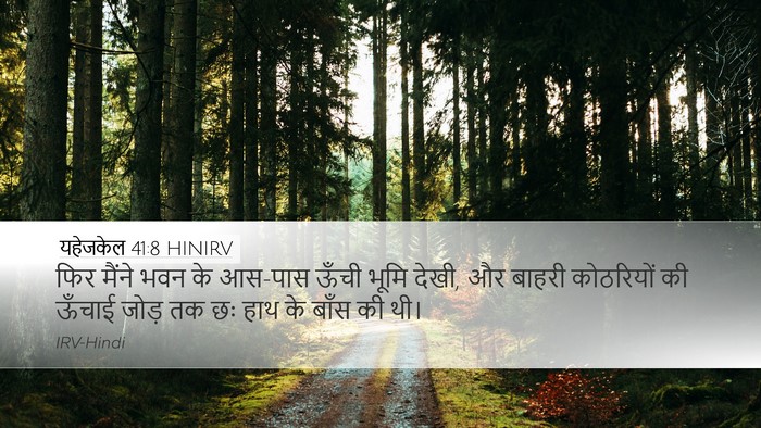 यहेजकेल 41:8 HINIRV Desktop Wallpaper - फिर मैंने भवन के - Desktop Bible Verse Wallpaper