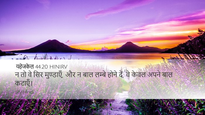 यहेजकेल 44:20 HINIRV Bible Verse Image