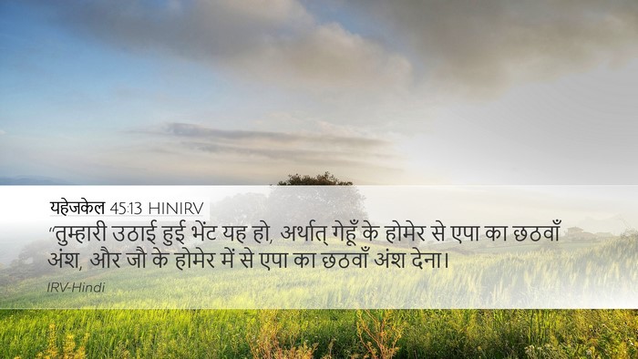 यहेजकेल 45:13 HINIRV Desktop Wallpaper - “तुम्हारी उठाई - Desktop Bible Verse Wallpaper