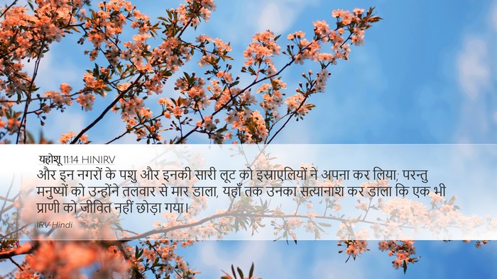 यहोशू 11:14 HINIRV Bible Verse Image