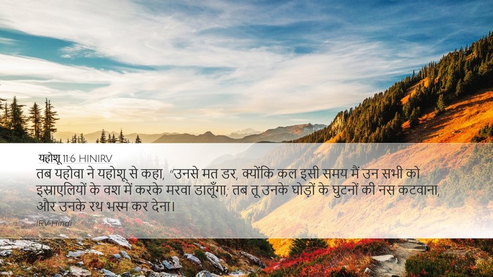 यहोशू 11:6 HINIRV Bible Verse Image