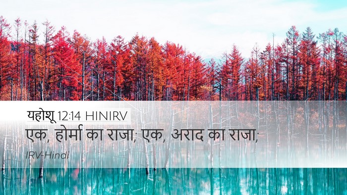 यहोशू 12:14 HINIRV Desktop Wallpaper - एक, होर्मा का राजा; - Desktop Bible Verse Wallpaper