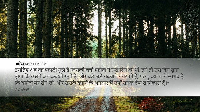 यहोशू 14:12 HINIRV Desktop Wallpaper - इसलिए अब वह पहाड़ी - Desktop Bible Verse Wallpaper