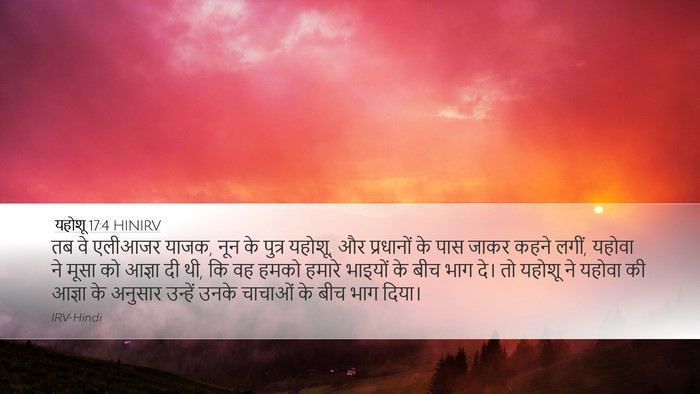 यहोशू 17:4 HINIRV Desktop Wallpaper - तब वे एलीआजर याजक, - Desktop Bible Verse Wallpaper