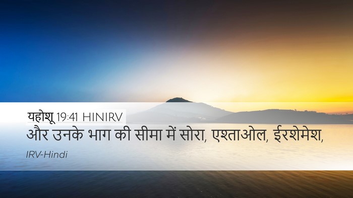 यहोशू 19:41 HINIRV Desktop Wallpaper - और उनके भाग की सीमा - Desktop Bible Verse Wallpaper