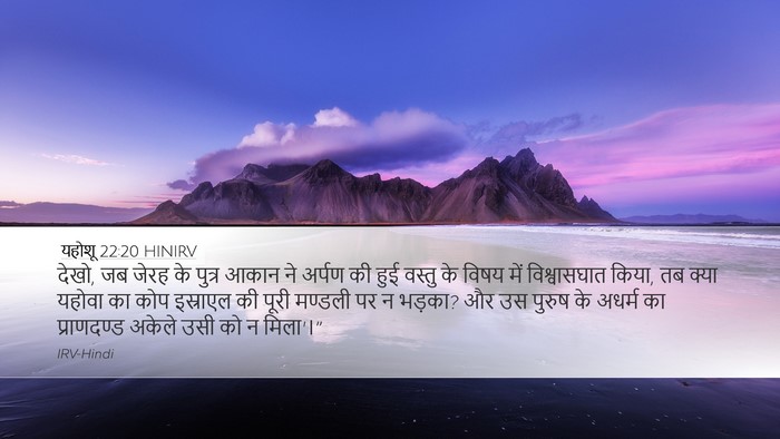 यहोशू 22:20 HINIRV Bible Verse Image