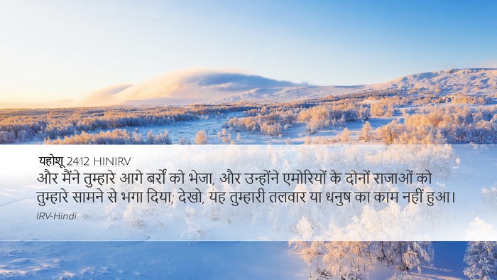 यहोशू 24:12 HINIRV Desktop Wallpaper - और मैंने तुम्हारे - Desktop Bible Verse Wallpaper