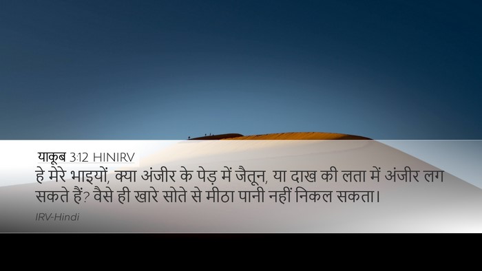 याकूब 3:12 HINIRV Bible Verse Image
