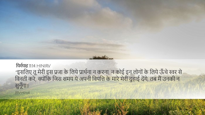 यिर्मयाह 11:14 HINIRV Bible Verse Image