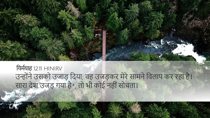 यिर्मयाह 12:11 HINIRV Desktop Wallpaper - उन्होंने उसको - Desktop Bible Verse Wallpaper