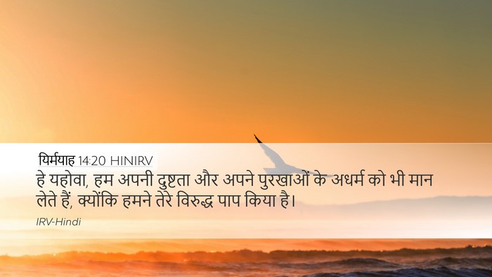 यिर्मयाह 14:20 HINIRV Desktop Wallpaper - हे यहोवा, हम अपनी - Desktop Bible Verse Wallpaper