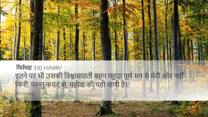 यिर्मयाह 3:10 HINIRV Desktop Wallpaper - इतने पर भी उसकी - Desktop Bible Verse Wallpaper