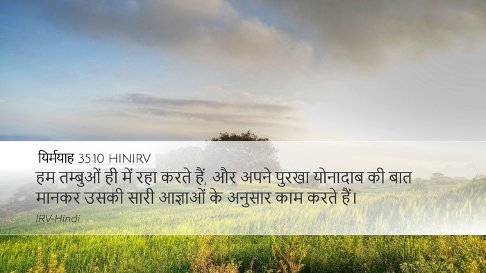 यिर्मयाह 35:10 HINIRV Bible Verse Image