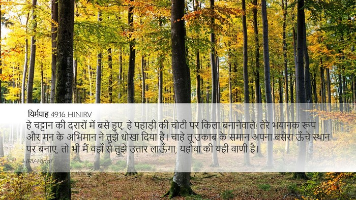 यिर्मयाह 49:16 HINIRV Bible Verse Image