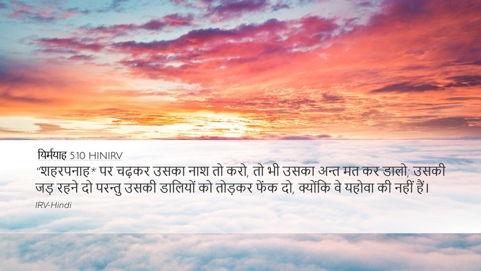 यिर्मयाह 5:10 HINIRV Desktop Wallpaper - “शहरपनाह* पर चढ़कर - Desktop Bible Verse Wallpaper