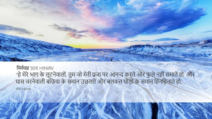 यिर्मयाह 50:11 HINIRV Bible Verse Image
