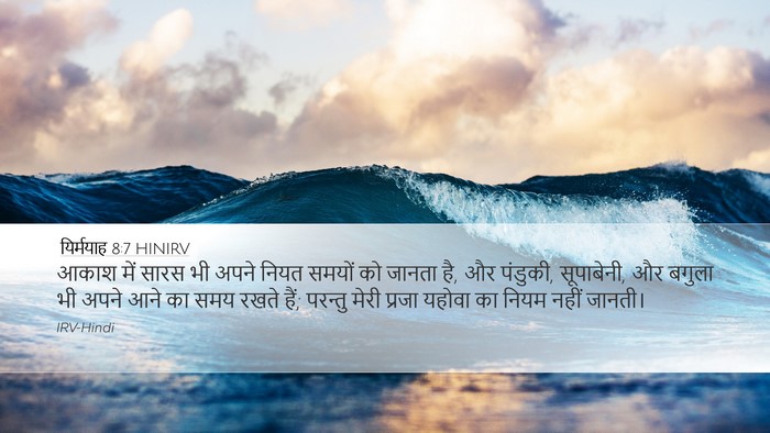 यिर्मयाह 8:7 HINIRV Bible Verse Image