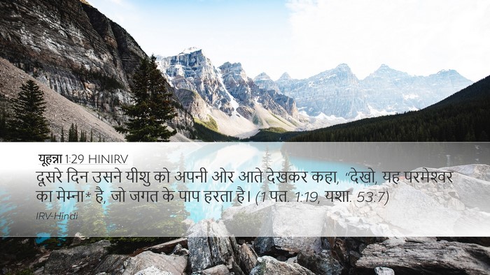 यूहन्ना 1:29 HINIRV Bible Verse Image
