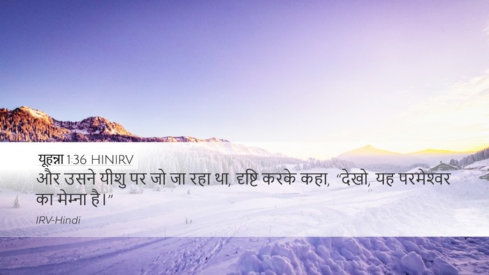 यूहन्ना 1:36 HINIRV Bible Verse Image