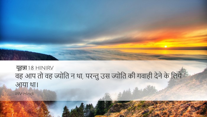 यूहन्ना 1:8 HINIRV Bible Verse Image