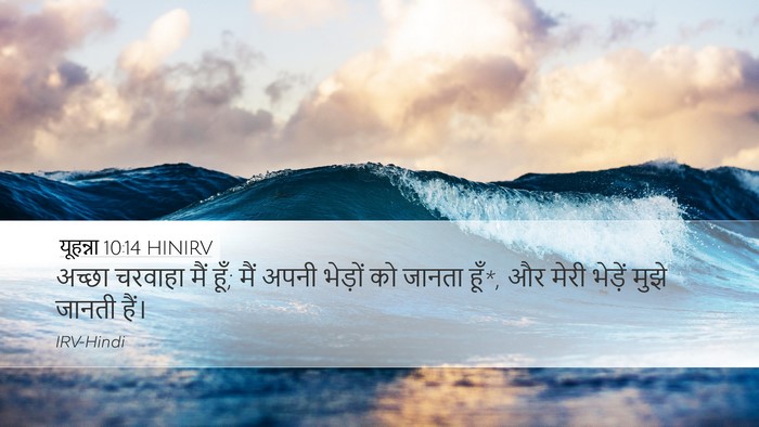 यूहन्ना 10:14 HINIRV Bible Verse Image