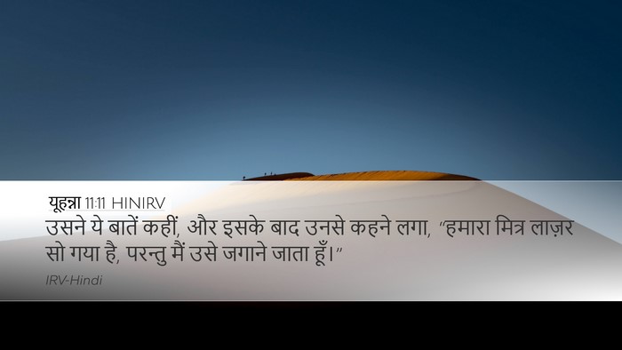 यूहन्ना 11:11 HINIRV Bible Verse Image