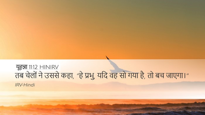 यूहन्ना 11:12 HINIRV Desktop Wallpaper - तब चेलों ने उससे - Desktop Bible Verse Wallpaper